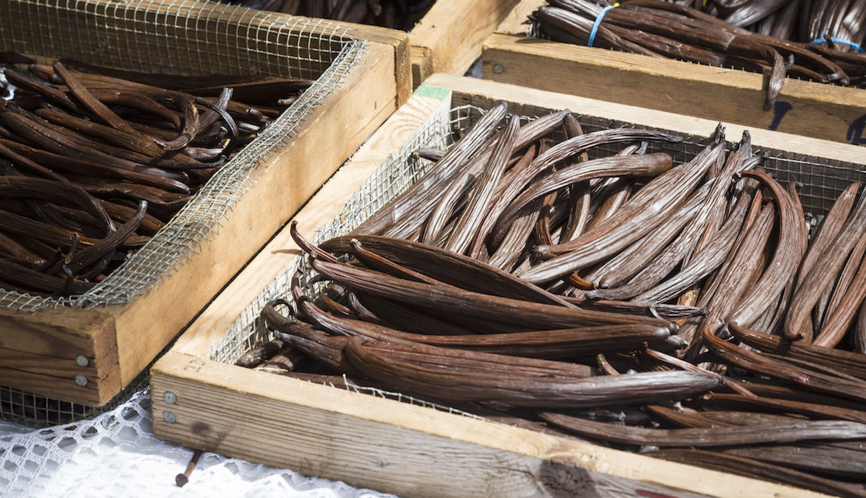  vanilla planifolia grade a gourmet original papua - deandragroup.com - PT Deandra Langlang Buana